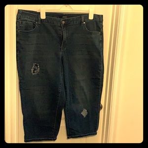 Lane Bryant Venezia Denim Capri Pants Women’s S22